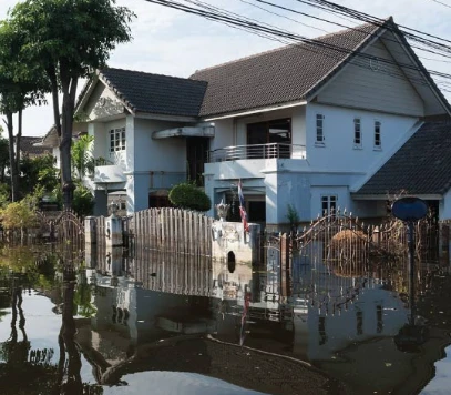 วิโรจน์ ขุนทอง - รูปภาพ 1