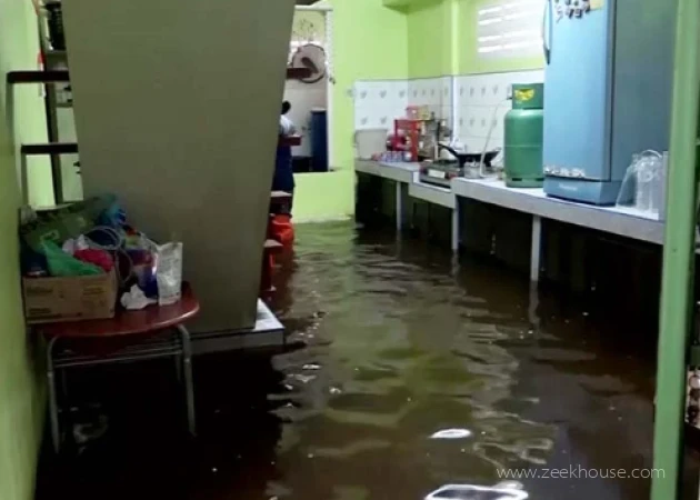 ณัฐพล ปัญญาแก้ว - รูปภาพ 4